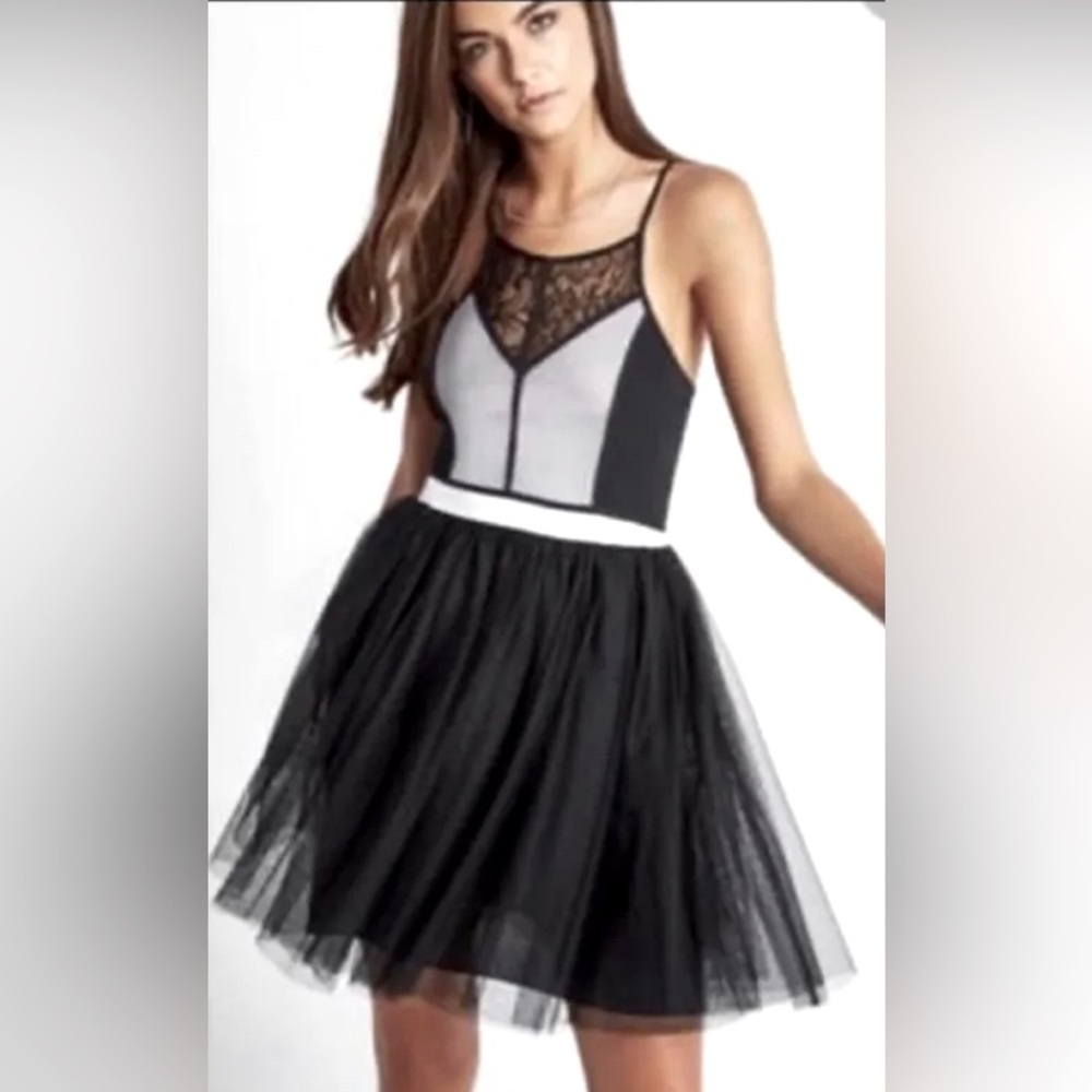 BCBGeneration Sleeveless Balletcore Lace and Tulle Color Block Mini Party Dress